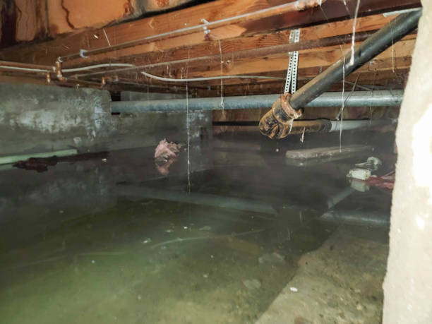 Best Local water damage restoration  in Kingsland, TX