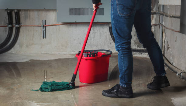 Best Flooded house restoration  in Kingsland, TX