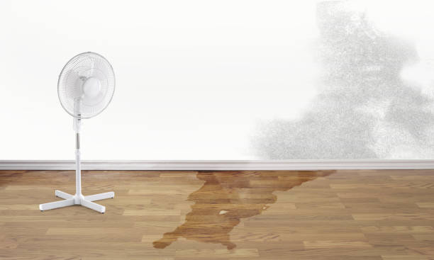 Best 24-hour water damage restoration  in Kingsland, TX