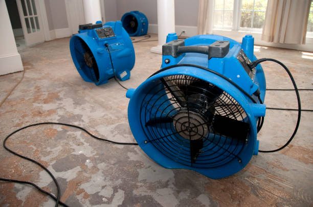 Best 24/7 water damage repair  in Kingsland, TX