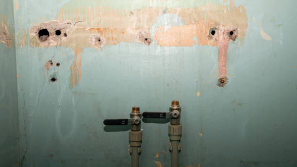 Best Residential water damage restoration  in Kingsland, TX