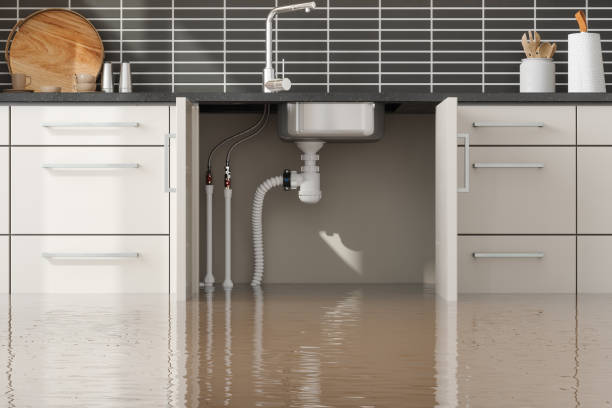 Best Water damage repair service  in Kingsland, TX
